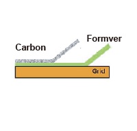 Carbon film TEM grids