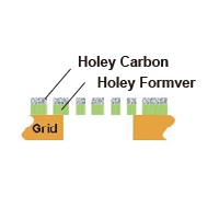  Holey Carbon film TEM grids