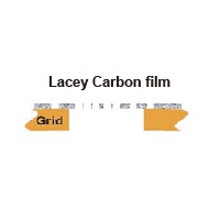 Lacey Carbon film TEM grids