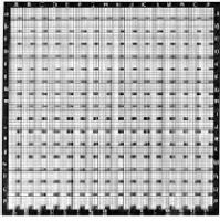 SEM Finder/LM Locator Grids